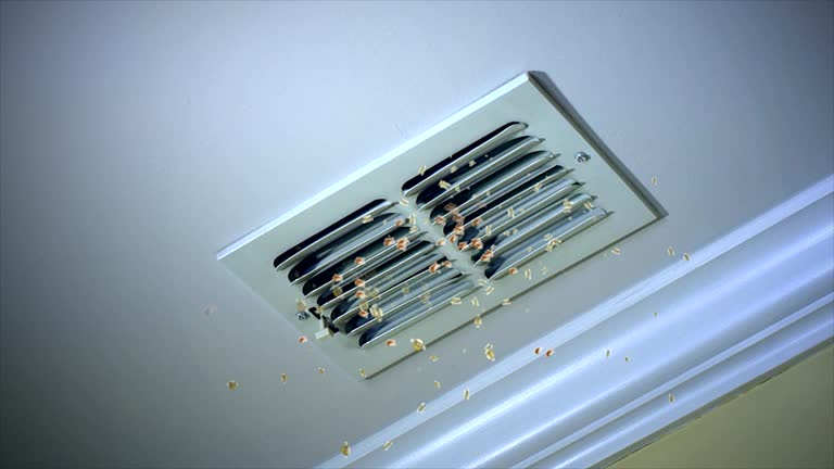 Best Emergency Air Duct Cleaning  in Graysville, TN