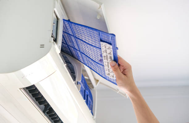 Best HVAC System Cleaning  in Graysville, TN