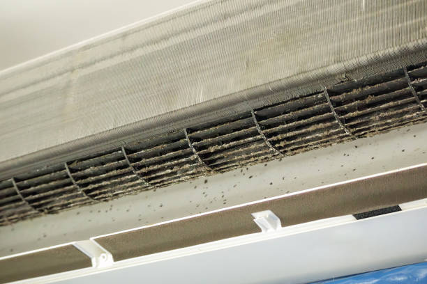 Best Duct Cleaning for Homes  in Graysville, TN